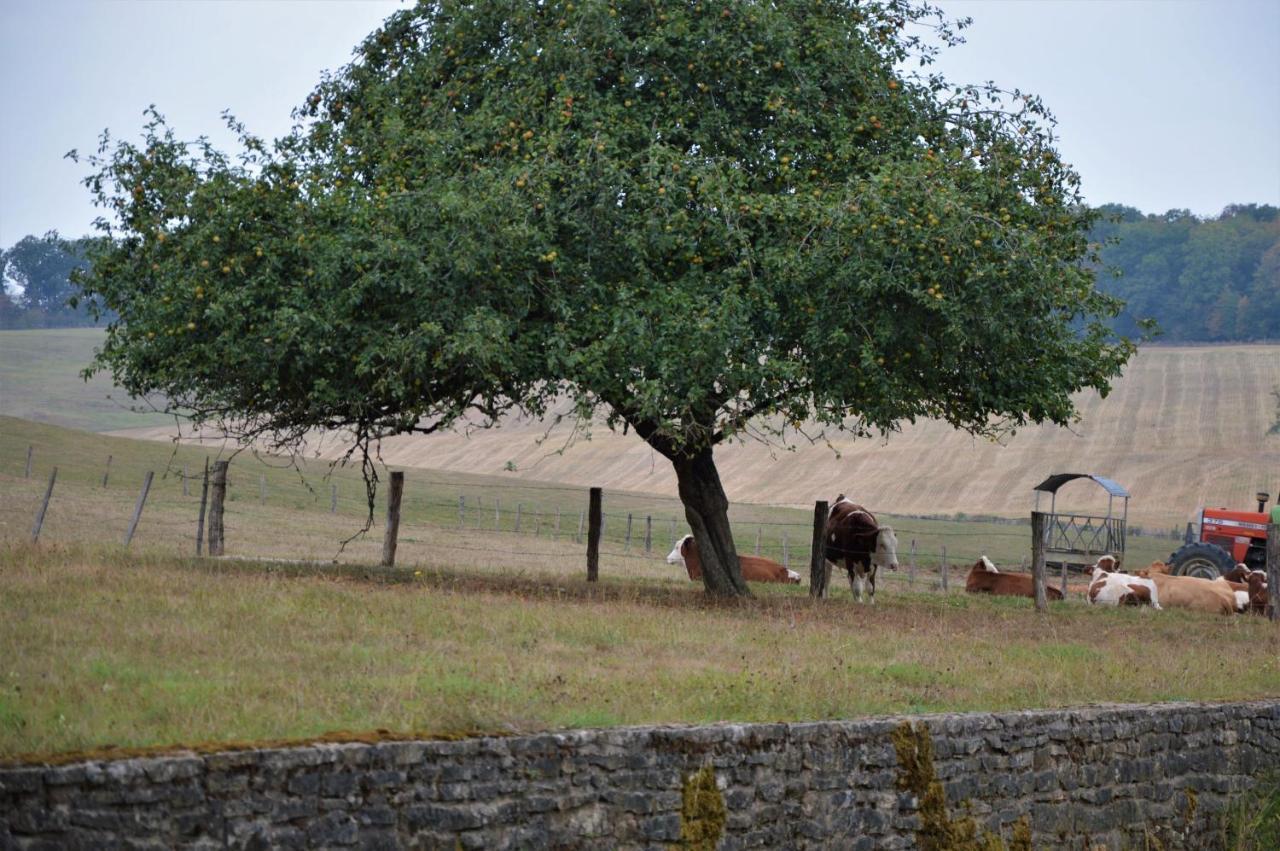 Aillevans La Ferme Aux Glycines酒店 外观 照片
